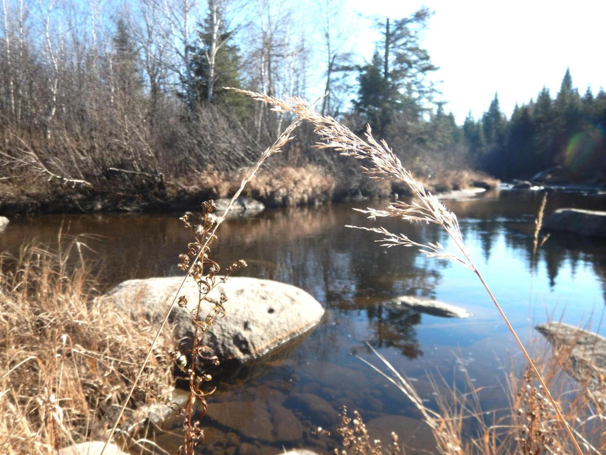 Aux Tipis De La Riviere Sauvage Villa Saint Romain Eksteriør bilde