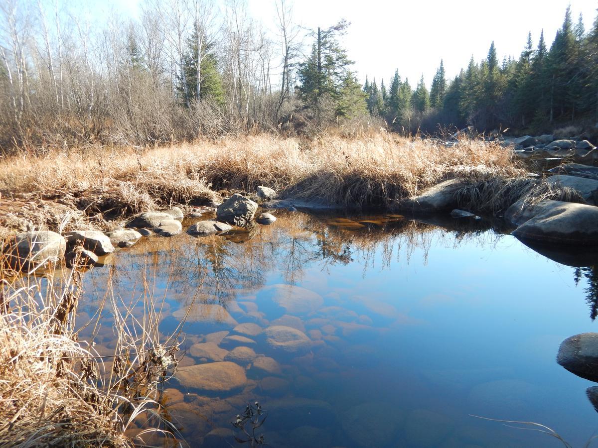 Aux Tipis De La Riviere Sauvage Villa Saint Romain Eksteriør bilde